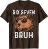 Six Seven Bruh Capybara Birthday 67 Meme Design Unisex T-Shirt