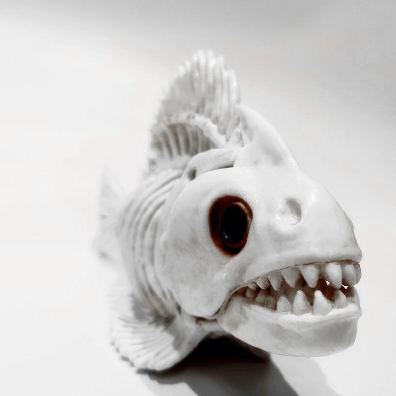 Halloween Fish Skull Bones Simulated Fish Skeleton Exquisite Design Decorate Horror Ornaments Creepy Decoration Party Props
