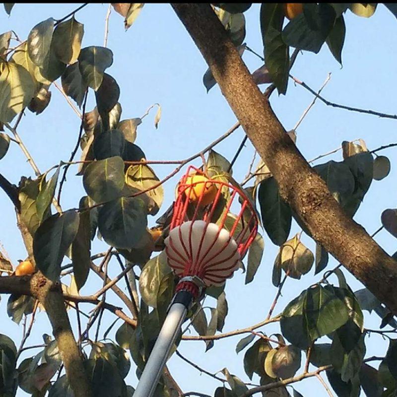 

European & American High-Altitude Fruit Picker Head - Garden Tool for Cross-Border Fruit Picking