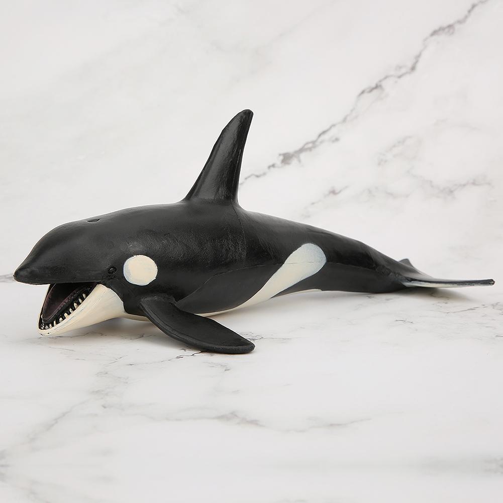 Killer Whale Shape Simulation Animal Model Marine Life Children Static Solid Toys