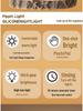 Capybara Silicone Night Light - Pat-Controlled, Timed, Ideal Children's Birthday Gift
