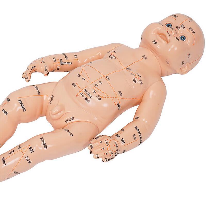 

XINMAN Children s Tui Na Massage Model