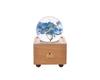 Hot Item Novelty Gifts 2025 Trends New Innovative Product Ideas Real Flower Light Bluetooth Speaker Holiday Festival Gift