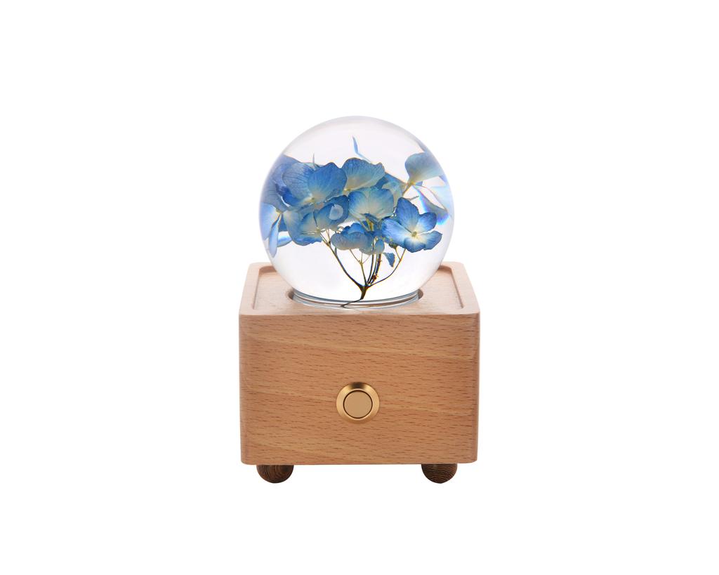 Hot Item Novelty Gifts 2025 Trends New Innovative Product Ideas Real Flower Light Bluetooth Speaker Holiday Festival Gift