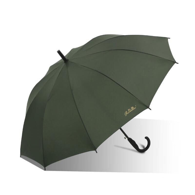 TianTang 193E Automatic Business Umbrella