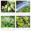Todan 2027 Wall Calendar Japanese Wildflowers and Plants TD-818