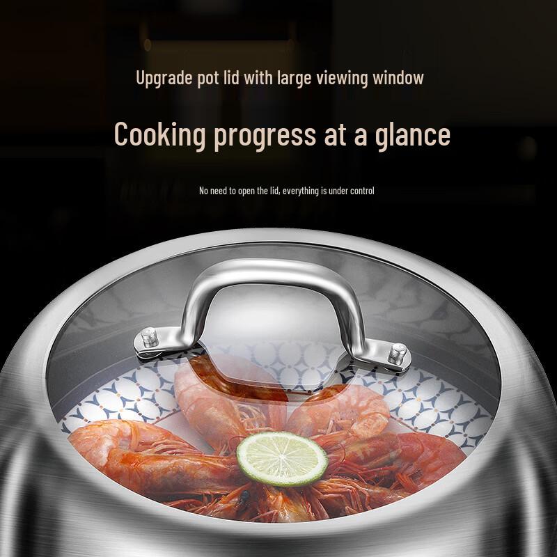 ZISIZ 2-Layer Stainless Steel Steamer Pot