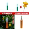Fruit Fly Trap With Yellow And Green Baits For Garden Pest Control