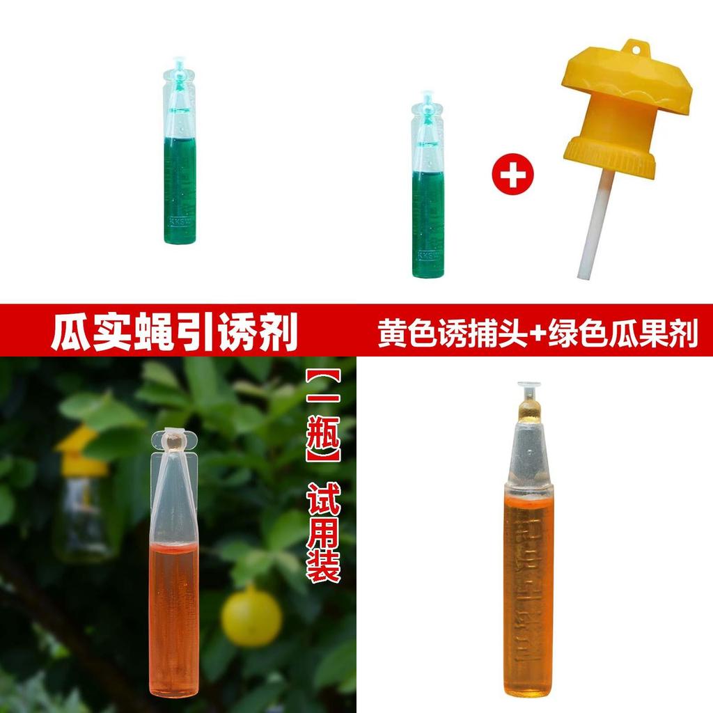 Fruit Fly Trap With Yellow And Green Baits For Garden Pest Control