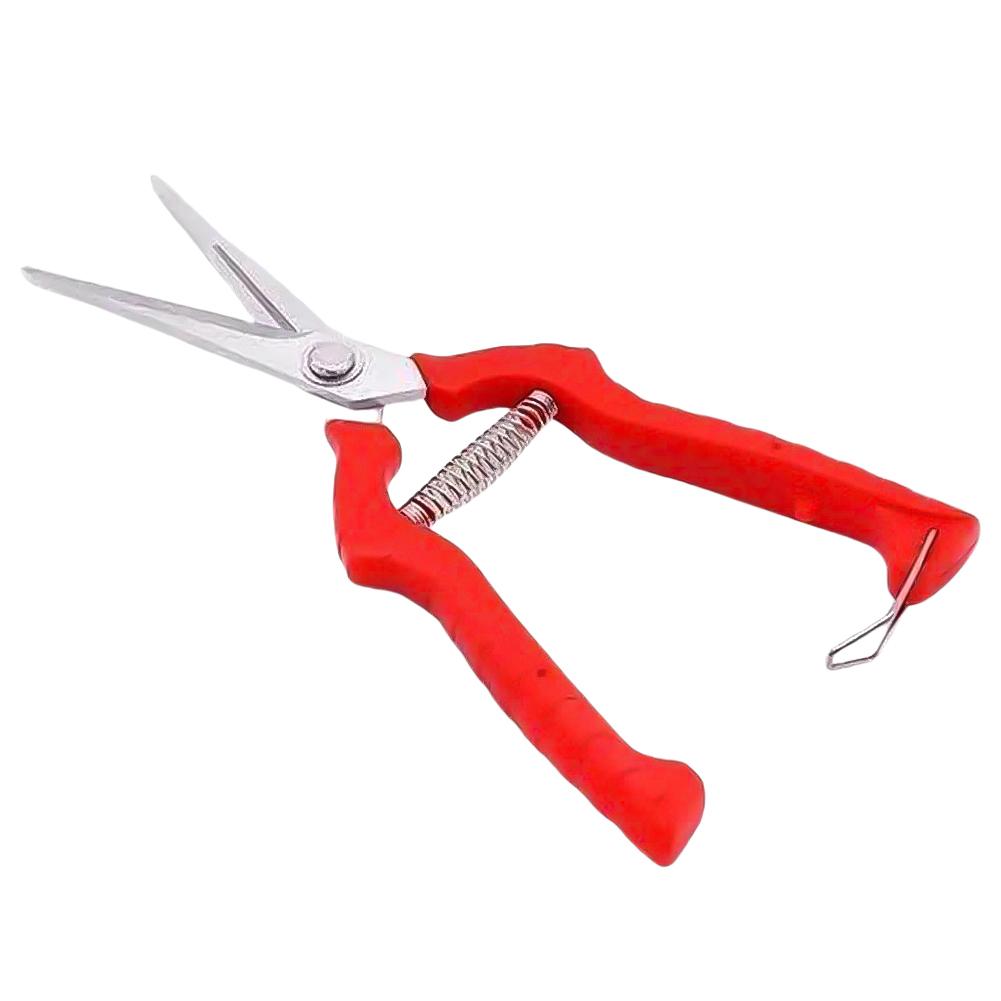 

Садовые ручные секаторы Нержавеющая сталь Ножницы для сбора фруктов Маленькие ножницы Ножницы для веток в горшках для цветов Сбор фруктов