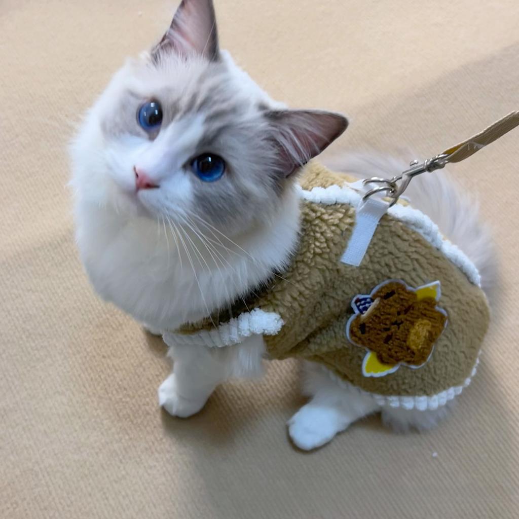 Autumn and Winter Thick Warm Plush Vest Cat Clothing Can Traction Vest New Year Small Dog Christmas Clothes Puppy Clothes