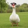 Bat Wings Porch Goose Costume Plush Spiders Lawn Goose Clothes  Garden Lovers