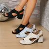 Fashion 2025 Summer New Women's Coarse Heels Fashion Casual Sandals Open Toed Hollow Breathable Roman Style Slip on High Heel Cool Pumps