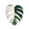 Yousheng Simulated Tropical Leaf Decoration Acrylic Epoxy Resin Green Leaf Sign DIY Refrigerator Magnet Mobile Phone Airbag Holder Accessories