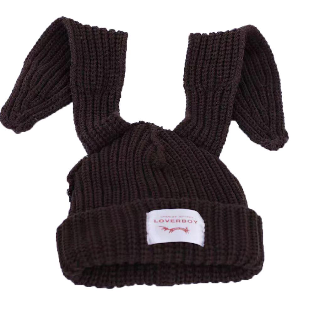 Trendy Brand Design Niche Personalized Rabbit Ears Wool Hat Women's Autumn and Winter Warm Ear Protection Hat Knitted Hat
