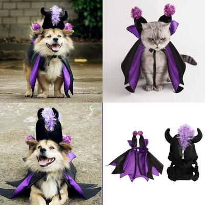 Kočičí čarodějnický plášť Halloweenský kostým Párty s psí tématikou Upíří plášť Klobouk pro hraní rolí pro kočku psa Foto outfit Párty doplněk