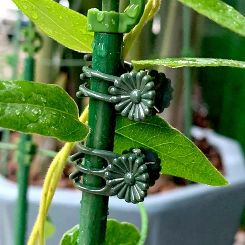100/200pcs Clips for Garden Plants Plastic Holder Clip for Orchid Stem Plant Holder Clamps for Stem Fruit Vegetable