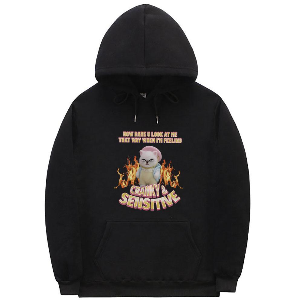 How Dare U Look At Me That Way When I'm Feeling Cranky Sensitive Kawaii Cat Funny Meme Hoodie Unisex Casual Cotton Pullover