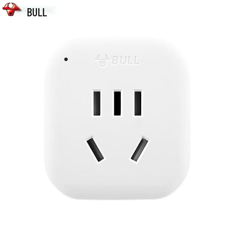 BULL International Travel Power Adapter