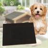Lima per Unghie per Cani con Base in Legno e Cassetto per Premi Strumento Naturale per Limare le Unghie del Cane con Carta Vetrata Sostitutiva per Tutte le Razze Unghie Senza Stress