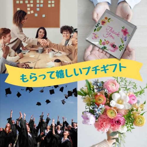 Small Gift Set of 5 Hot Eye Masks (2 Types) - Thank You, Individually Wrapped, Megu Rhythm, Perfect for Retirement, Transfers, Thank You Gifts, Events