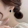 Elegant Black Square Crystal Stud Earrings for Women