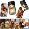 Phone Cover Lovely Poodle Dog Pet Casing for Apple iPhone 17 16 11 Pro XS Max XR 6 7 8 Plus + 16E SE 2020 Air 5 8+ Case