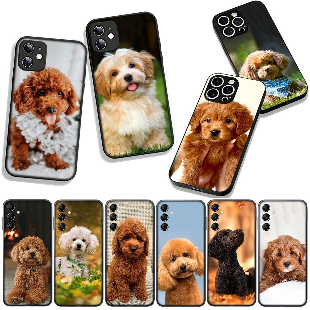 Phone Cover Lovely Poodle Dog Pet Casing for Apple iPhone 17 16 11 Pro XS Max XR 6 7 8 Plus + 16E SE 2020 Air 5 8+ Case