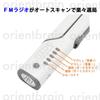 Orient Brain XLN609 Radio Light Solar Desk Stand Mobile Charging Smartphone TypeC FM Radio Flashlight (iPhone Compatible)