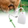 Calf Feeding Calf Bottle 4L Capacity Milk Feeders with Handle and Long Mouth for Easy Nursing