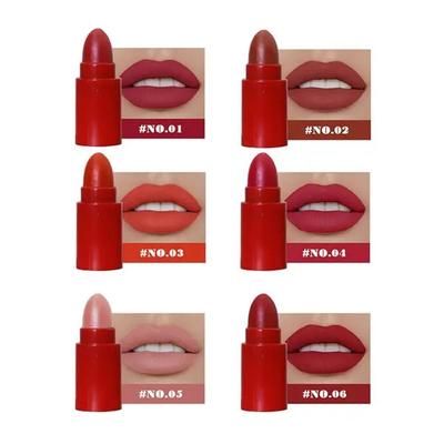 Velvet Matte Lip Gloss Mini Small Lipstick Waterproof Long Lasting Glaze Full Color Women Makeup Set of 6, 6 Colors Lipstick, 1 Piece