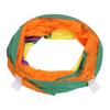 Cat Tunnels Rainbow Collapsible Thickening Interactive Pet Tunnel Toy for Indoor Outdoor