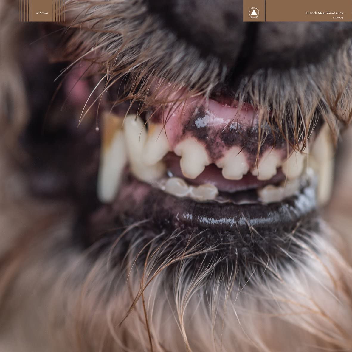 

CD BLANCK MASS - World Eater SBR174CDJ Japan ObiDance & Electronica Used