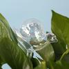 Iridescent Self Watering Bulbs Snail Design Glass Plant Watering Globes Planter Insert Automatic Watering Device