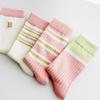 Women's Daily Socks 4-Pair Set