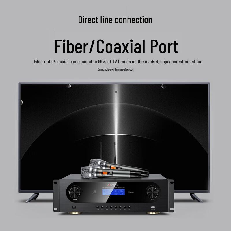 SANSUI SQ209 Home KTV Audio System CN Plug (adapter Included)