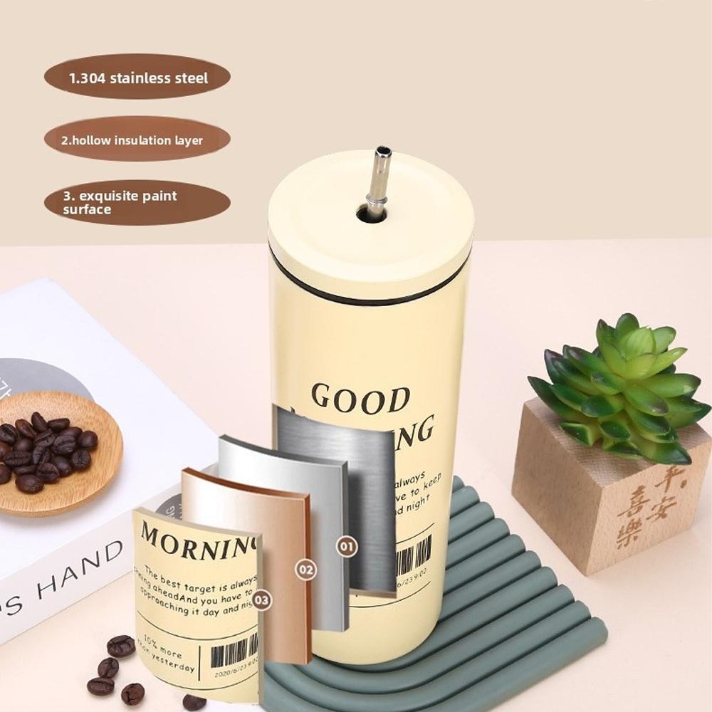 600ml/20oz Thermos Cup with Metal Straw and Leak-proof Lid 304 Liner Material BPA-free 500ml for Cold Coffee/cold Drinks