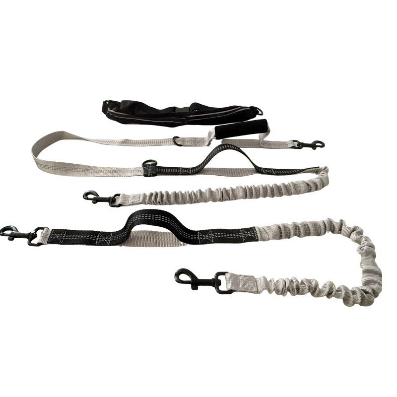 Pet Running Leash with Portable Waist Bag - Full-Function Dog Leash
