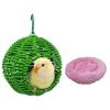 Durable Plastic developed Bird Shelter For Small Birds Year Round Use Indoor Outdoor Hanging