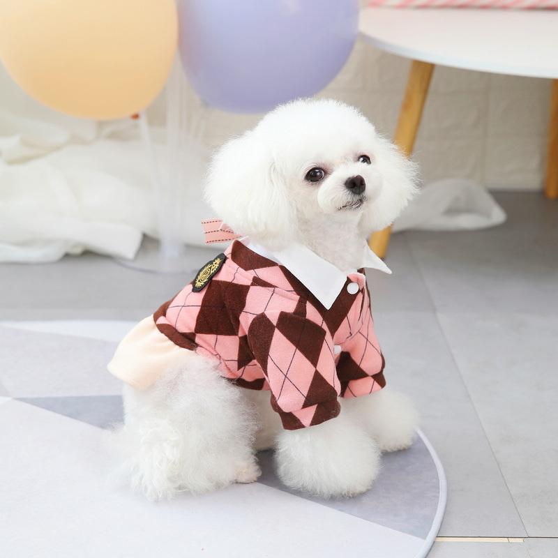 collegiate dog sweaters