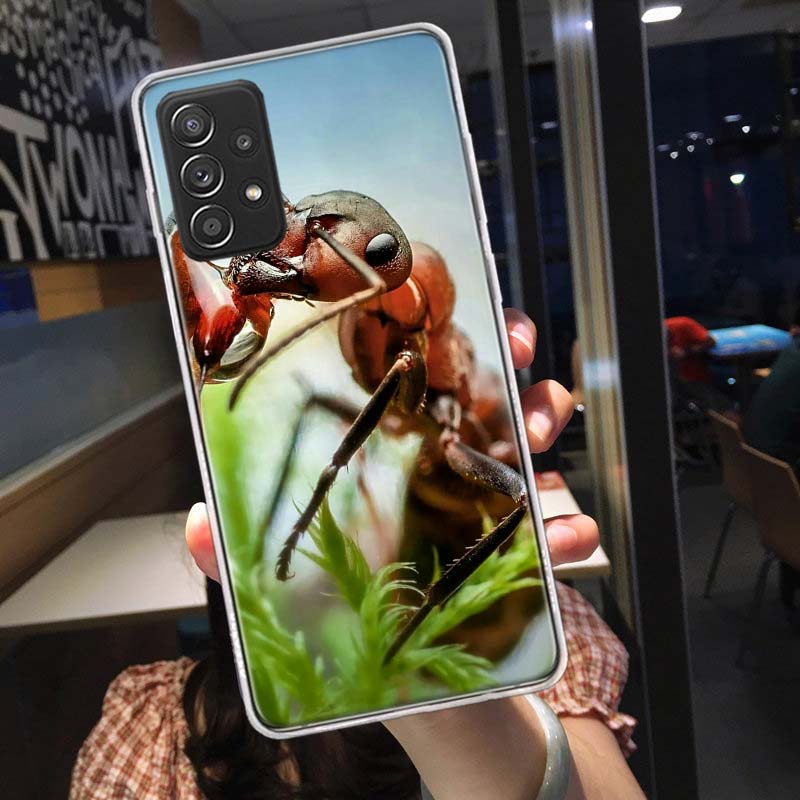 Red Fire Ants, Worker Ants Phone Case for Samsung A54 A57 A37 A17 A14 A15 A12 A24 A34 A55 A35 A25 A52S A07 A05S A04S A22 A32 A72