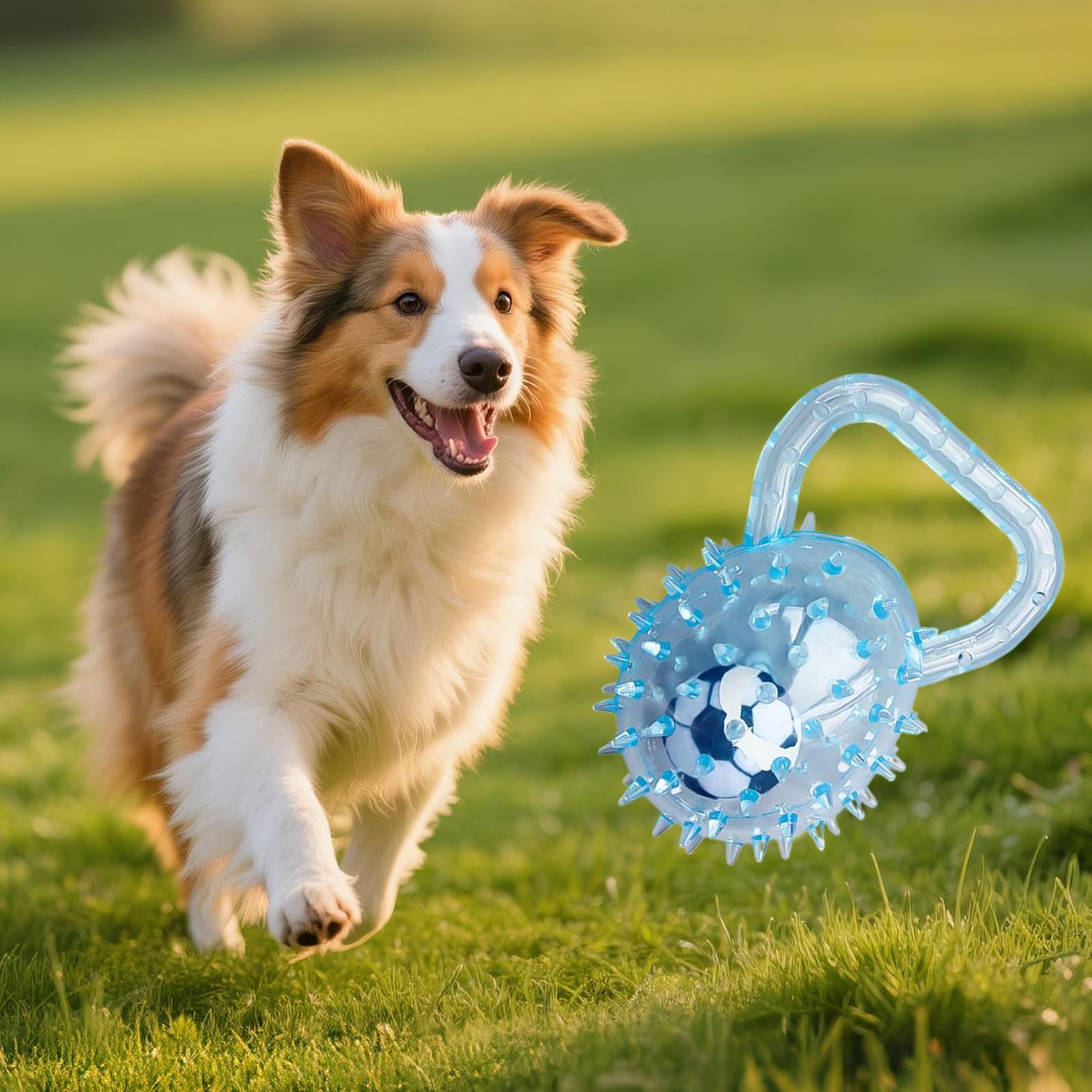 

Spiky Dog Ball Soft Rubber Interactive Pet Chewer Spiky Ball Dog Toy For Teeth Cleaning Boredom Relief Stimulating Toss Fetch China Mainland