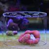 Acrylic Coral Feeder Cover Anti Feeding Shrimp Multiple sizes available Fish Tank Cover Transparent Breeding Protection Cover