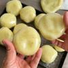 Realistic Mashed Potato Squeeze Ball, Textured Crinkle Sound Stress Relief Squeeze Toy, Sensory Fidget Toys Relaxing Gifts