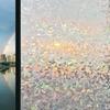 Privacy Frosted Glass Sticker: Light-Transmitting, Opaque, Anti-Peeping Film for Bathroom Windows