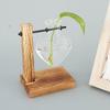 Classic Glass Hydroponic Plant Vases Transparent Wooden Stand Terrarium Vase Bulb Vase for Tabletop Plants