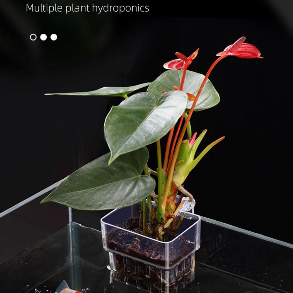 Water Plant Landscape Fish Tank Hydroponic Planting Basket Fish Tank Plant Cup  for Fish Tank