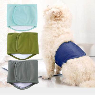 Cães – Cuidados de cães