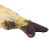 Funny Soft Pet Kitten Cat Mint Stuffed Simulation Playing Toy Fish Shape Plush Toys New 20CM