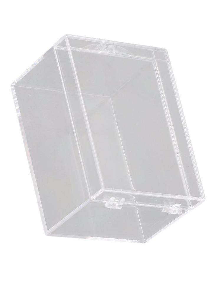 Desktop Storage Box for Insect Specimen Display Clear Plastic (65 characters)